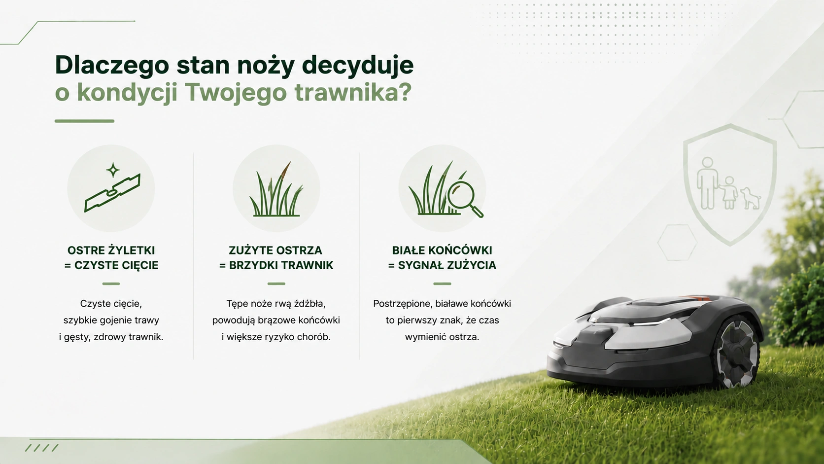 Dlaczego stan noży decyduje o kondycji Twojego trawnika?