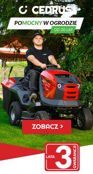 Traktorki Cedrus
