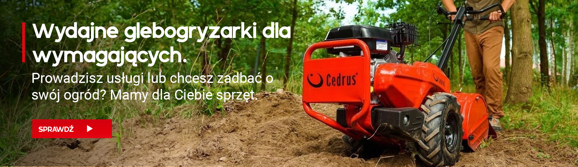 Glebogryzarki Cedrus