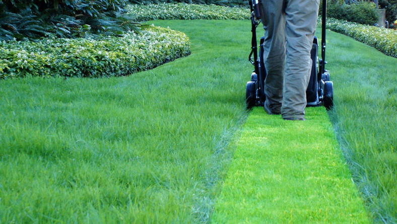 The Way to a Beautiful Lawn - Lawn Care