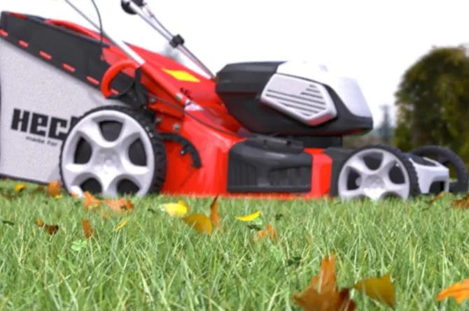 How to take care of the lawn in November?