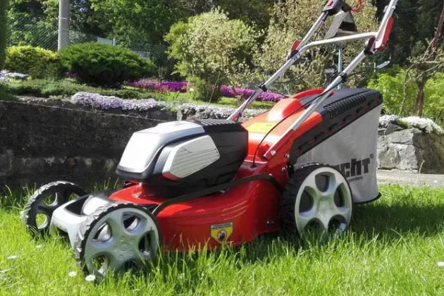 Which lawn mower to choose