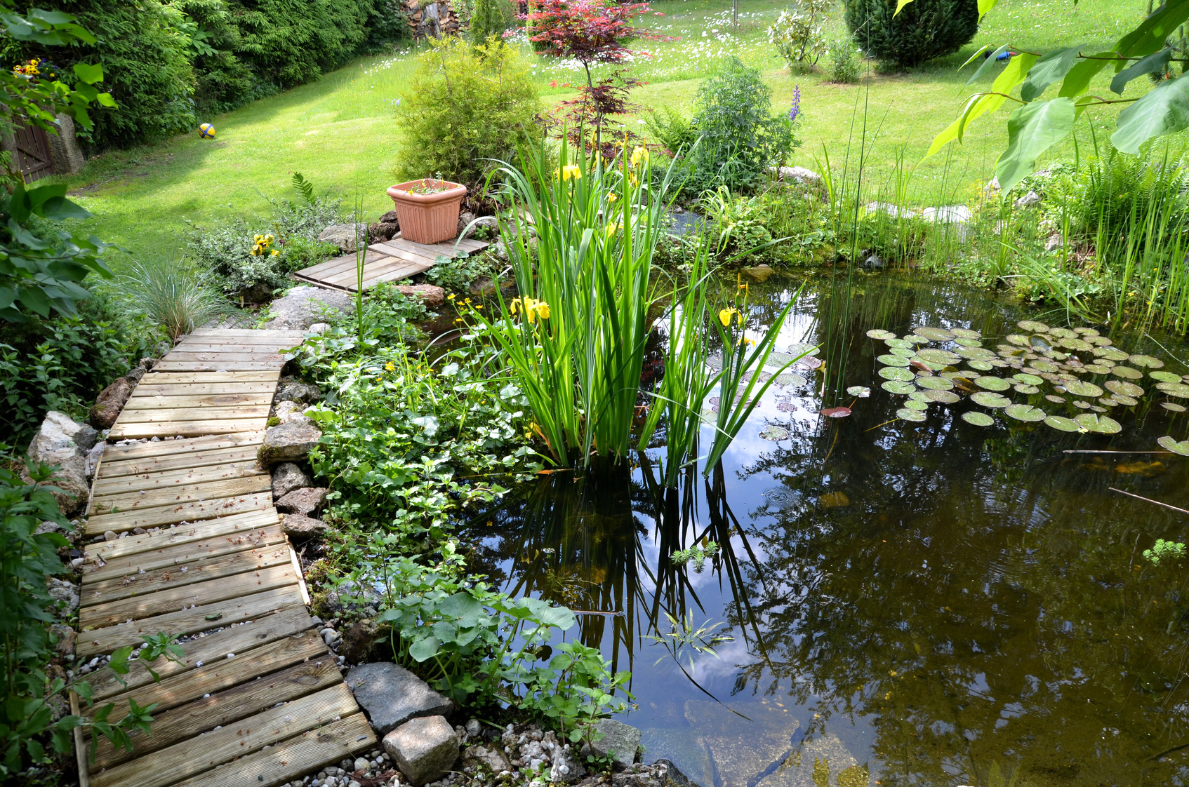 Pond in the Garden