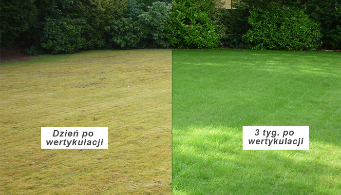 What is the importance of scarification for our lawn? HECHT scarifier