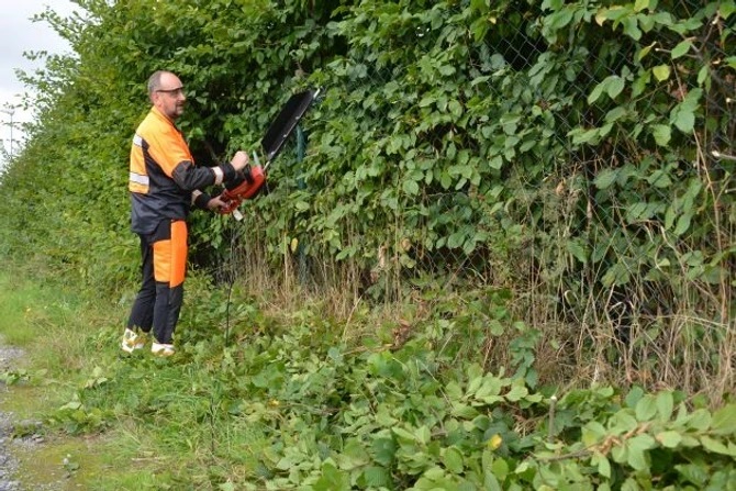 Essential tools for pruning shrubs and hedges