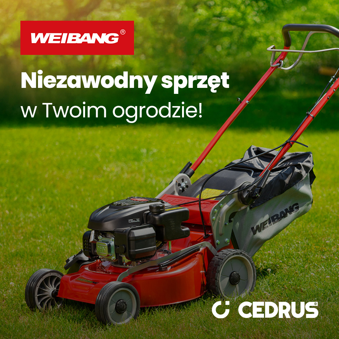 Kolik spálí benzínová sekačka na trávu? Zkontrolujte spotřebu paliva a náklady na sekání zahrady