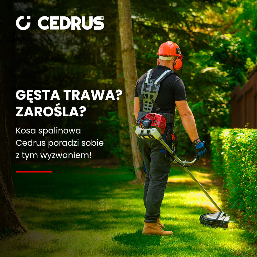 Podkaszarka żyłkowa czy kosa spalinowa? Kompletny poradnik wyboru sprzętu do dużego ogrodu i pracy u klientów (krok po kroku)