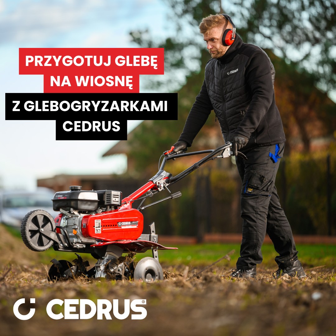 Glebogryzarka spalinowa do warzywnika – jaką wybrać? Poradnik przygotowania gleby pod uprawy