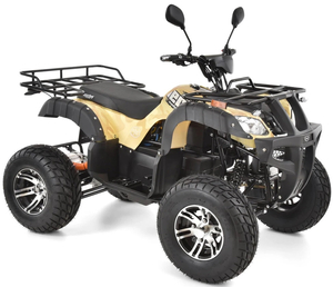 HECHT 59399 SAND ATV QUAD BATTERY ELECTRIC CROSS COUNTRY VEHICLE - OFFICIAL DISTRIBUTOR - AUTHORIZED HECHT DEALER