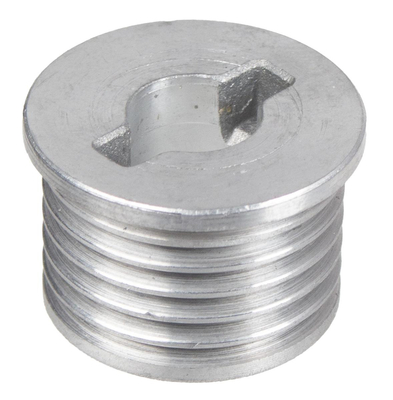 Cedrus scarifier pulley CEDWE32 300497