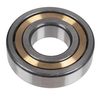 NJ307E Cedrus Bearing for CEDZG158HR-PRO Compactor 541183