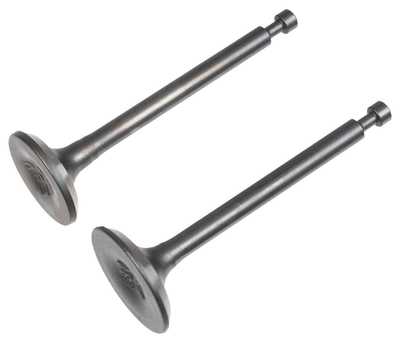 Zawór ssący/wydechowy Rato silnik R80i 12110-Z800110-00A0