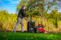 CEDRUS LV58 S PROFESSIONAL CLEANER + 4in1 SPRINEL LEAF VERTICULATOR 4in1 GARDEN DRIVE ROAD DRIVER 2in1 LV58S - OFFICIAL DISTRIBUTOR - AUTHORIZED DEALER CEDRUS