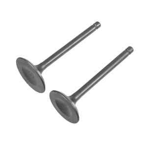 Rato valves RV450 engine 12110-Z0N0110-00A0