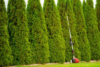 CEDRUS UW552 / UW520 KOSA SPALINOWA DO TRAWY PIŁA ŁAŃCUCHOWA SEKATOR URZĄDZENIE WIELOFUNKCYJNE PODKASZARKA WYKASZARKA 1.8 KM 