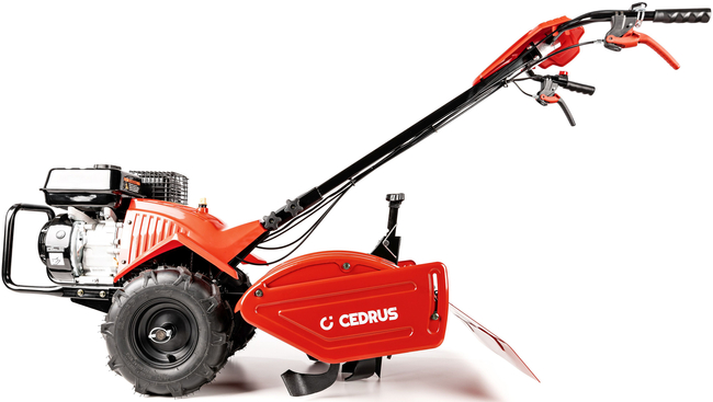 CEDRUS GLX-GT65-2L self-propelled combustion soil compactor with 6.5 hp / 50 cm LONCIN G200F engine - OFFICIAL DISTRIBUTOR - AUTHORIZED DEALER CEDRUS
