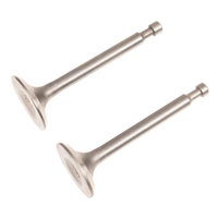 Sací/výfukový ventil motor Rato R210 půdní kypřič GL04;GL05 12110-Z010110-0000