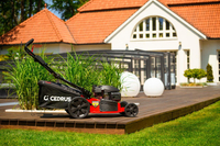 CEDRUS KS53S-H AL HONDA KOSIARKA SPALINOWA DO TRAWY ALUMIONIOWA Z NAPĘDEM HONDA GCVx200 5w1 53cm / 4.1 KM - EWIMAX - OFICJALNY DYSTRYBUTOR - AUTORYZOWANY DEALER CEDRUS