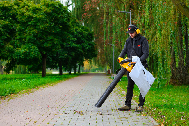 CEDRUS DM03 2-in-1 GARDEN SPRINAL VACUUM CLEANER - OFFICIAL DISTRIBUTOR - AUTHORIZED DEALER CEDRUS