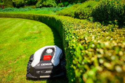 CEDRUS M12+ AUTOMATIC MOW MOWING ROBOT 1200m2 - OFFICIAL DISTRIBUTOR - AUTHORIZED DEALER CEDRUS