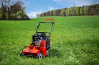 Wertykulator spalinowy Weibang WB384 RB silnik Briggs&Stratton