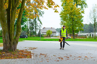 CEDRUS DM03 2-in-1 GARDEN SPRINAL VACUUM CLEANER - OFFICIAL DISTRIBUTOR - AUTHORIZED DEALER CEDRUS