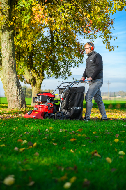 CEDRUS LV58 S PROFESSIONAL CLEANER + 4in1 SPRINEL LEAF VERTICULATOR 4in1 GARDEN DRIVE ROAD DRIVER 2in1 LV58S - OFFICIAL DISTRIBUTOR - AUTHORIZED DEALER CEDRUS