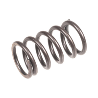CEDRUS valve spring foot ST01 070635
