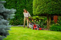 WEIBANG WB455SC 3W1 MOTORIZED VERTICAL MOWER 3.5 HP / 45cm - OFFICIAL DISTRIBUTOR - AUTHORIZED WEIBANG DEALER
