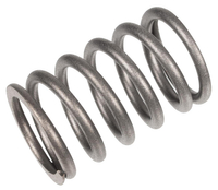 Valve spring Rato engine R300 12103-Z730110-0099