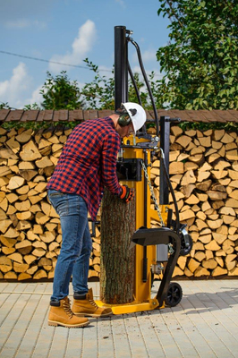 CEDRUS LS08 ŁUPARKA DO DREWNA HYDRAULICZNA ELEKTRYCZNA CEDRUS LS08V PIONOWA RĘBAK NACISK 11 TON CEDLS08V - EWIMAX - OFICJALNY DYSTRYBUTOR - AUTORYZOWANY DEALER CEDRUS