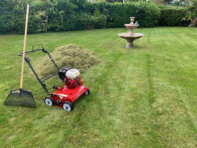 WEIBANG WB486CRB WERTYKULATOR SPALINOWY DO TRAWY PROFI PROFESJONALNY Briggs&Stratton WB486 / WB 486 -  EWIMAX - OFICJALNY DYSTRYBUTOR - AUTORYZOWANY DEALER WEIBANG