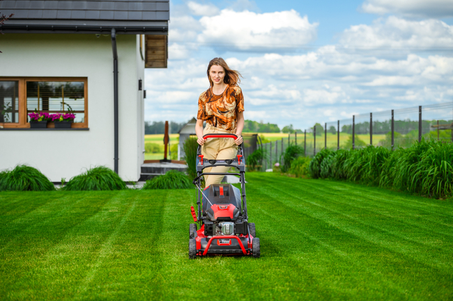 CEDRUS KS53S MOTORIZOVANÁ SEKÁČKA NA VÍNU 53cm / 5,7 HP - EWIMAX - OFICIÁLNÍ DISTRIBUTOR - AUTORIZOVANÝ PRODEJCE CEDRUS