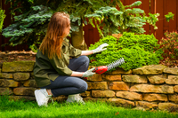Nożyce akumulatorowe Cedrus CEDGS100LI CEDGS100LI