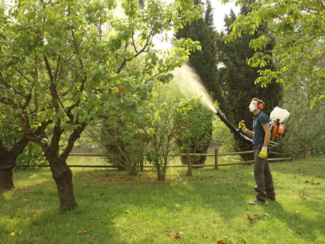 OLEO MAC MB800 BACKPACK GASOLINE TURBINE SPRAYER 14L 5KM OLEO MB 800 PREMIUM 365280020E1C OFFICIAL DISTRIBUTOR - AUTHORIZED OLEO-MAC DEALER