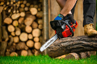 CEDRUS PS50-18T PETROL CHAIN SAW OREGON 3 KM - EWIMAX - OFFICIAL DISTRIBUTOR - AUTHORIZED CEDRUS DEALER