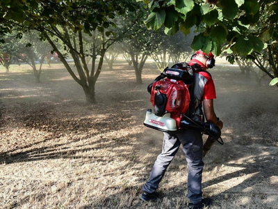 CIFARELLI BL1200 LEAF BLOWER VACUUM CLEANER BL 1200 GARDEN PROFI PROFESSIONAL - OFFICIAL DISTRIBUTOR - AUTHORIZED CIFARELLI DEALER