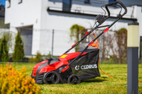 CEDRUS WE40 WERTYKULATOR DO TRAWY AREATOR 2w1 AERATOR + 2 WAŁKI 2000W / 40cm CEDWE40 - EWIMAX - OFICJALNY DYSTRYBUTOR - AUTORYZOWANY DEALER CEDRUS