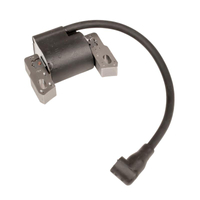 Ignition module B&S Quantum SERIES 600 zam 802574 ORIGINAL PART 590454