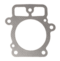 Těsnění hlavy B&S V-TWIN 0160