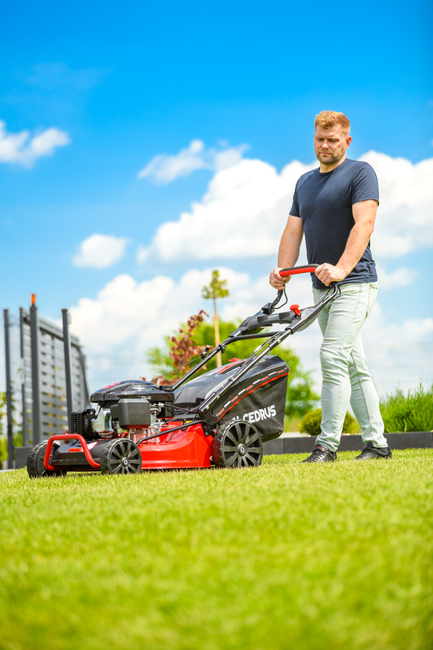 CEDRUS KS53S-L KOSIARKA SPALINOWA DO TRAWY Z NAPĘDEM LONCIN LC1P70FC 53cm / 6,5 KM - EWIMAX - OFICJALNY DYSTRYBUTOR - AUTORYZOWANY DEALER CEDRUS