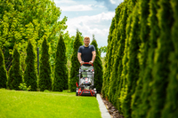 CEDRUS KS53S-L KOSIARKA SPALINOWA DO TRAWY Z NAPĘDEM LONCIN LC1P70FC 53cm / 6,5 KM - EWIMAX - OFICJALNY DYSTRYBUTOR - AUTORYZOWANY DEALER CEDRUS