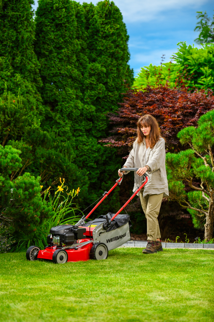 WEIBANG WB455SC 3W1 MOTORIZED VERTICAL MOWER 3.5 HP / 45cm - OFFICIAL DISTRIBUTOR - AUTHORIZED WEIBANG DEALER