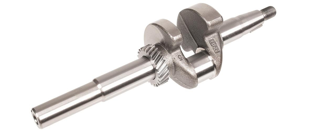 Wał korbowy Cedrus Y173VE 481689 perspektywa