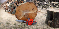 OLEO-MAC GS520 SEMI-PROFESSIONAL SAW CHAIN SAW FOR WOOD 3.7KM 50089022E2A OFFICIAL DISTRIBUTOR - AUTHORIZED OLEO-MAC DEALER