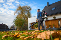 CEDRUS DM05 PRO PROFESSIONAL GARDEN LEAF BLOWER VACUUM CLEANER - OFFICIAL DISTRIBUTOR - AUTHORIZED CEDRUS DEALER