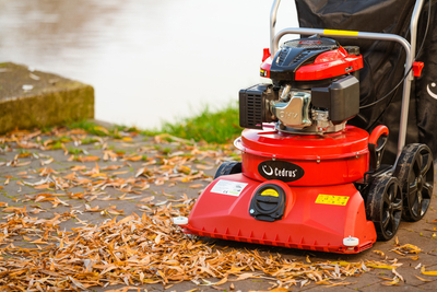 CEDRUS LV58 S PROFESSIONAL CLEANER + 4in1 SPRINEL LEAF VERTICULATOR 4in1 GARDEN DRIVE ROAD DRIVER 2in1 LV58S - OFFICIAL DISTRIBUTOR - AUTHORIZED DEALER CEDRUS