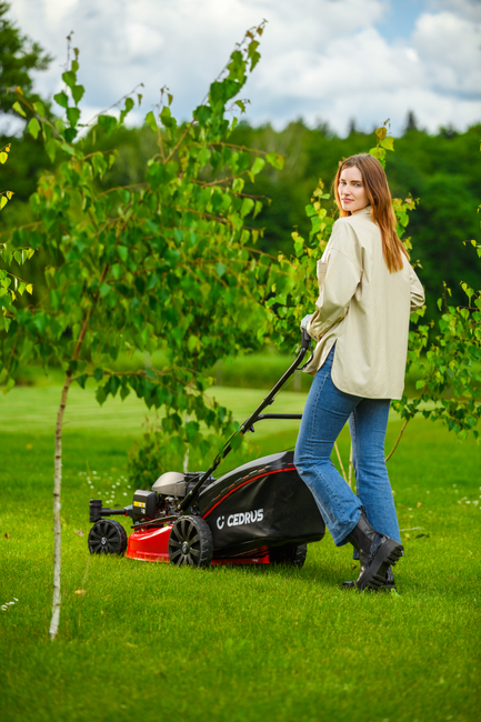 CEDRUS KS51S-H-ZT HONDA 5in1 SPRINELOVÁ SEKAČKA S POHONEM 51cm / 4,6 HP HONDA GCV170 - EWIMAX - Oficialní distributor - autorizovaný prodejce CEDRUS