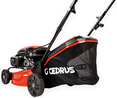 CEDRUS KS42S KOSIARKA SPALINOWA DO TRAWY Z NAPĘDEM CEDKS42S 42cm / 4,2KM - EWIMAX - OFICJALNY DYSTRYBUTOR - AUTORYZOWANY DEALER CEDRUS