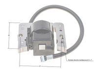 Tecumseh 3.5HP 8R26-20 ignition module